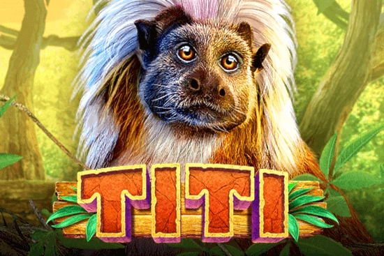 09047 titi