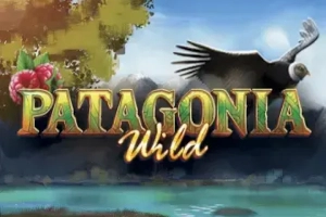 24902 patagonia wild